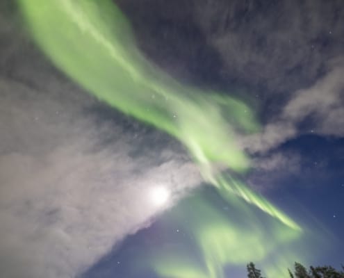 Noorderli ht in Zweeds Lapland tijdens de Kungsleden trail