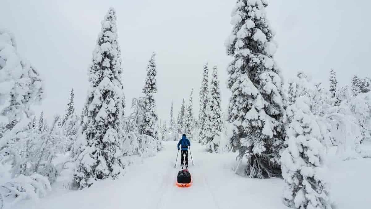 Kiruna 2019 02 SG 93 GRAND SLAM WITH HUSKIES