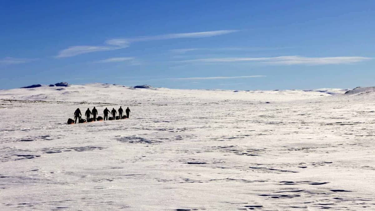 Expeditie in de winter in Zweeds Lapland