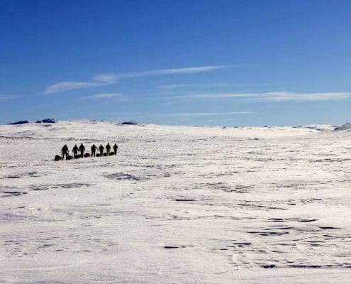 Expeditie in de winter in Zweeds Lapland