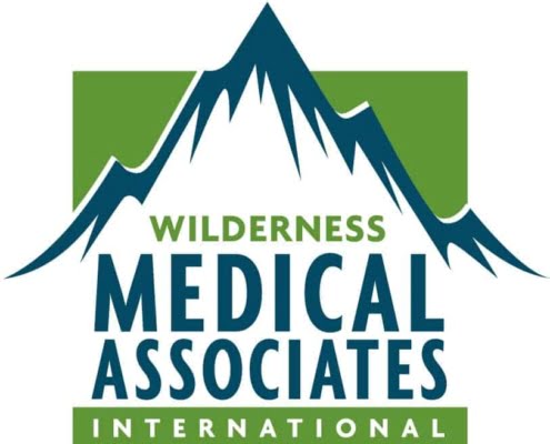 WMA international logo