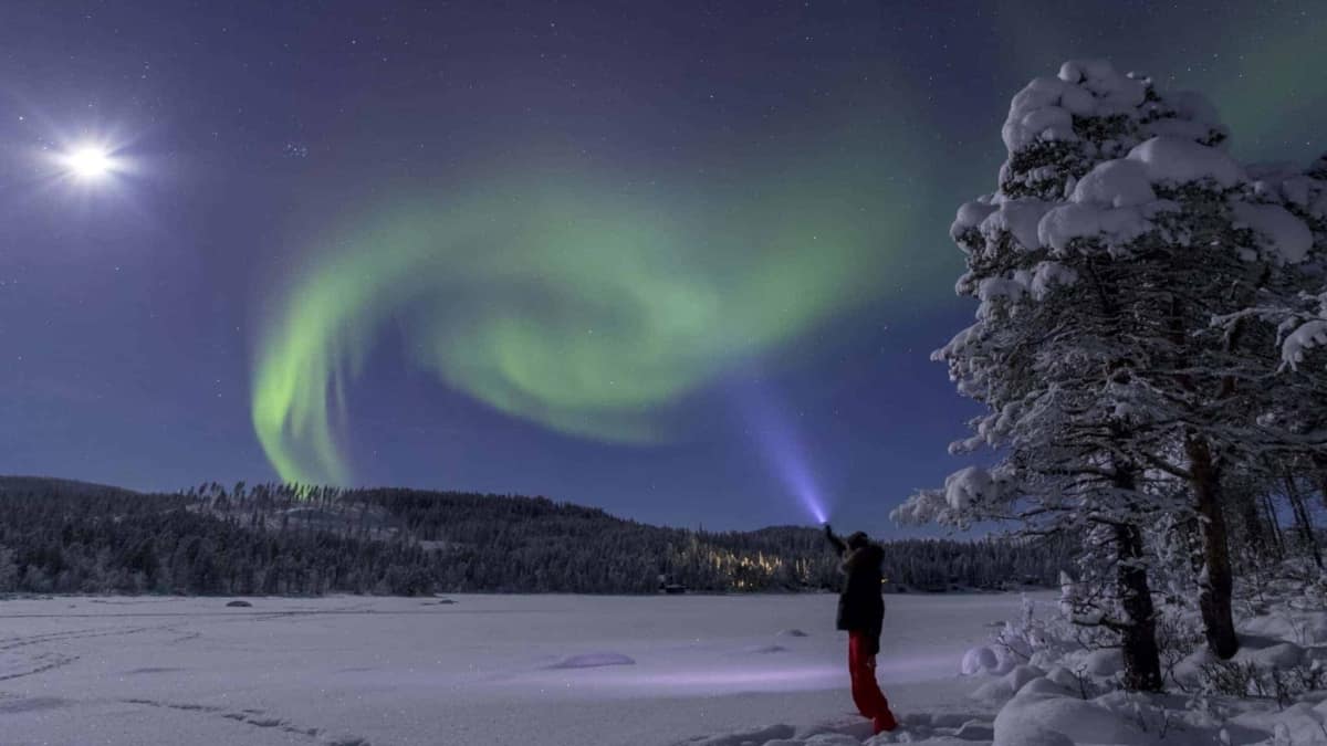 Kiruna 2019 02 SG 224 GRAND SLAM WITH HUSKIES