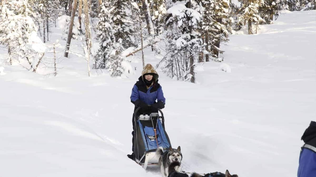 Arctic Adventure 2020 141 WOMEN ONLY EXPEDITION