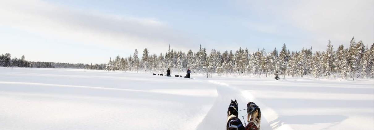 Arctic Adventure 2020 142 Eline Waalboer about the Women Only Expedition in Sweden