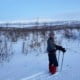 Paul Middelaar about the Arctic Break out in Lapland 3 Een persoon in winteruitrusting staat in een besneeuwd landschap met schaarse bomen, houdt skistokken vast en is met een touw aan een slee vastgemaakt. Op de achtergrond zijn met sneeuw bedekte heuvels zichtbaar onder een helderblauwe lucht.