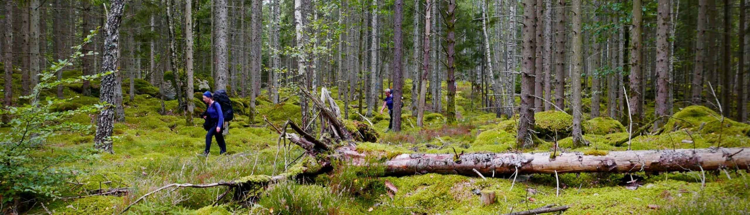 Rugzak trekking in Zuid Zweden Blekinge Skane