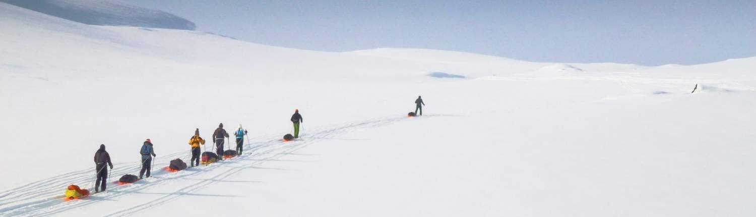 Kungsleden trail ski trekking in Zweedfs Lapland