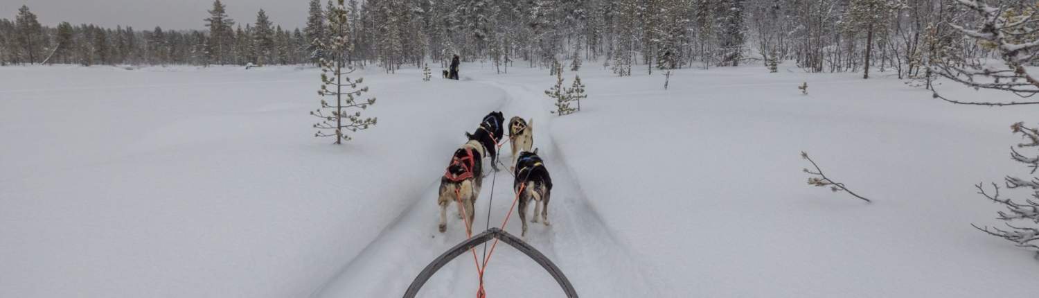Arctic Adventure Winter Expeditie 33 GRAND SLAM WITH HUSKIES