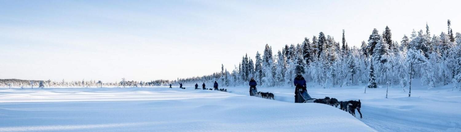 Arctic Adventure Winter Expeditie 35 WOMEN ONLY EXPEDITION