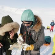 Navigeren op de Hardangervidda in Noorwegen Navigeren op de Hardangervidda in Noorwegen