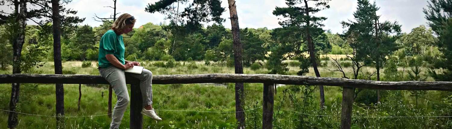 Banner voor productpaginas ADVENTURE WRITING