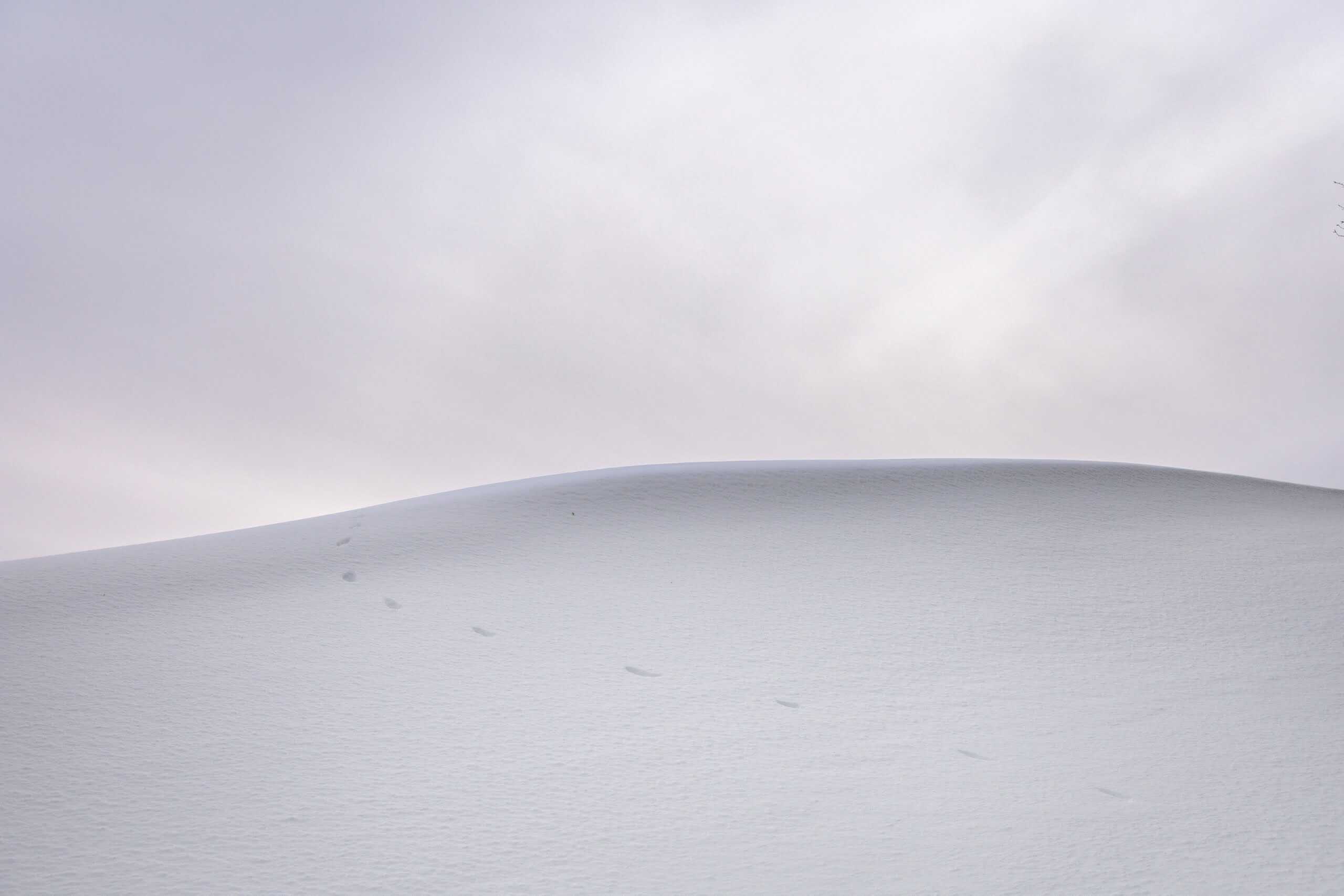 Forward through a white snowball 1 hans isaacson 5KnoLir1h3g unsplash scaled Forward through a white snowball
