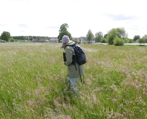 Maartje Sikkema over de Navigeren met kaart en kompas workshop in Nederland 1 Wandel door uitgestrekte groene velden vol kleurrijke bloemen tijdens een avontuurlijke workshop in Utrecht. Ervaar de natuur met kaart en kompas onder begeleiding van een ervaren gids. Ontdek prachtige landschappen met bomen, huizen en een deels bewolkte lucht. Beleef het ultieme avontuur in de buitenlucht!