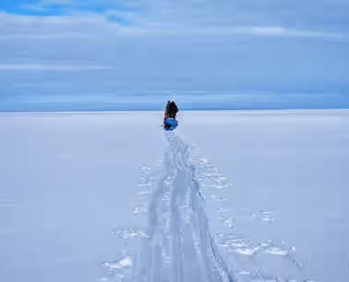 Frozen landschap met slee door de sneeuw, Arctic Adventure outdoor workshop.