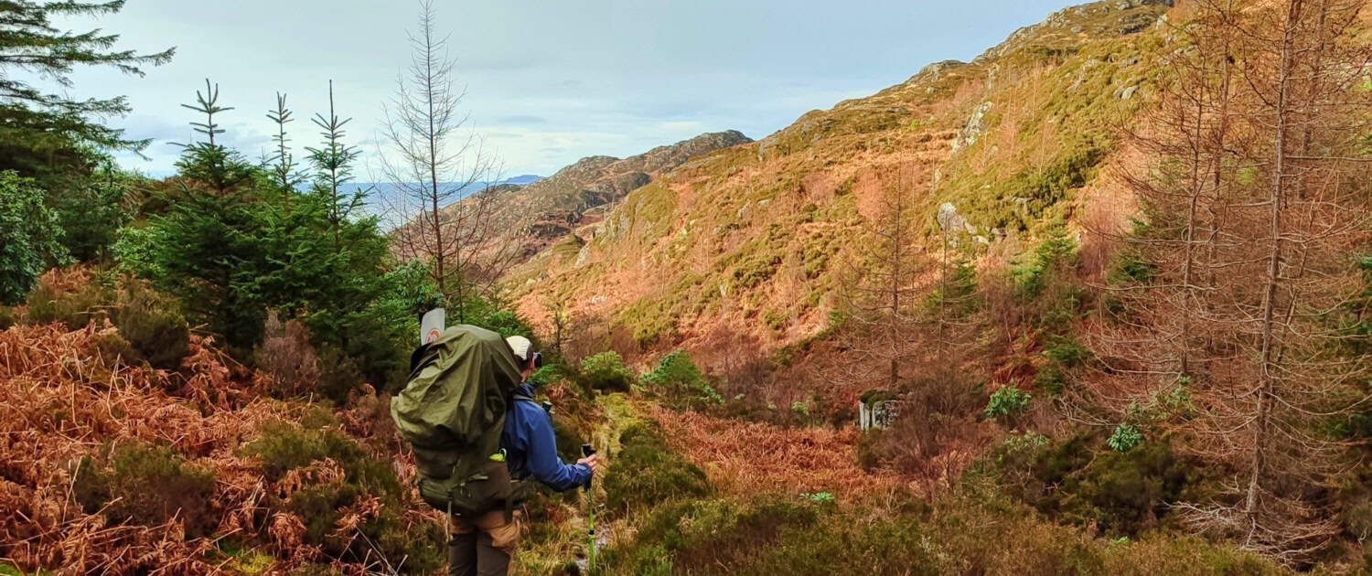 Grenzeloze natuur beleven tijdens een outdoor wandeling in de bergen in Nederland.