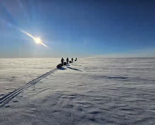 Group hiking across the white landscape of Greenland under a clear blue sky.