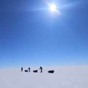 Snowmobiling on Arctic snow under a clear blue sky.