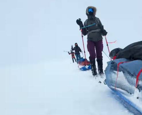 Group of adventurers pulling pulks through the snow in Greenland during an expedition.